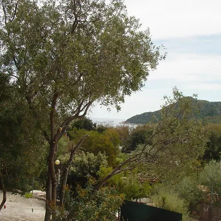 Palmizi Mt300 From Calasinzias * Cala Sinzias